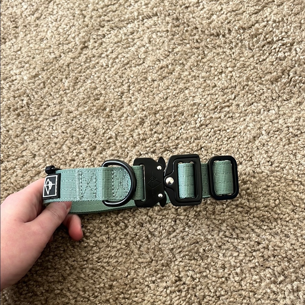 Green Adjustable Dog Collar